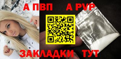 стаф Вязьма