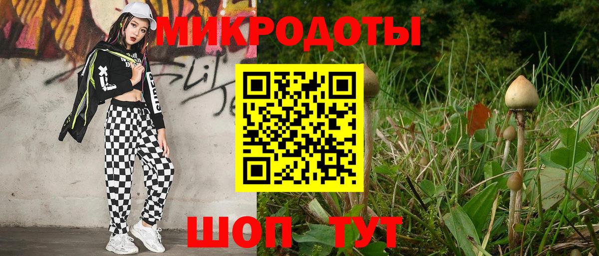 Псилоцибиновые грибы GOLDEN TEACHER Дедовск