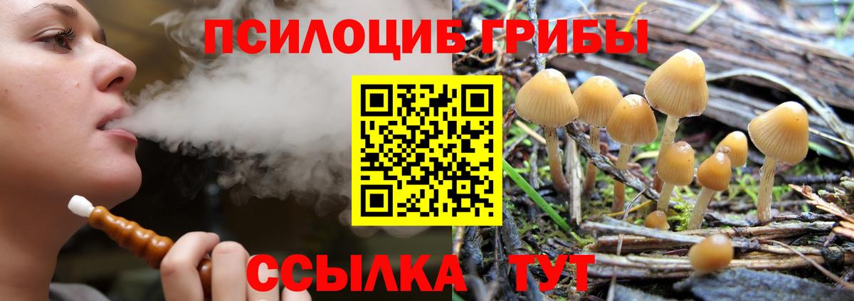 Псилоцибиновые грибы Psilocybe  Вход с VPN  Дедовск  Галлюциногенные грибы прущие грибы 